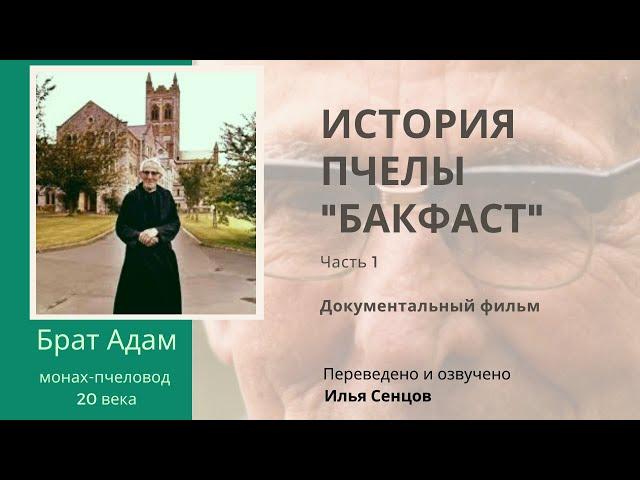 Брат Адам. История пчелы "Бакфаст" (часть 1)