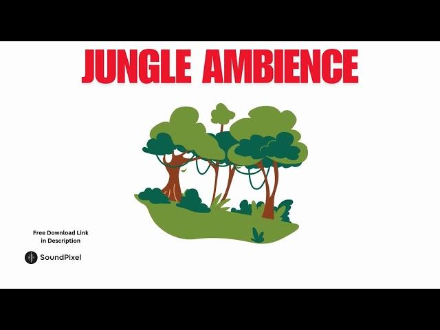 Jungle Rainforest Ambience Sound Effect | Free Download Copyright Free