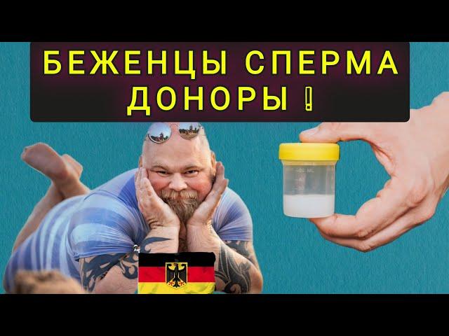 УКРАИНСКИЕ  БЕЖЕНЦЫ  ДОНОРЫ !  НОВЫЕ  ВИДЫ ЗАРАБОТКА В ГЕРМАНИИ !!!