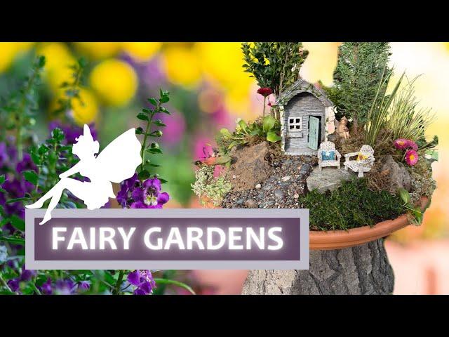 DIY: FAIRY GARDENS | Create a Magical World to Display in Your Garden | Family-Friendly Project