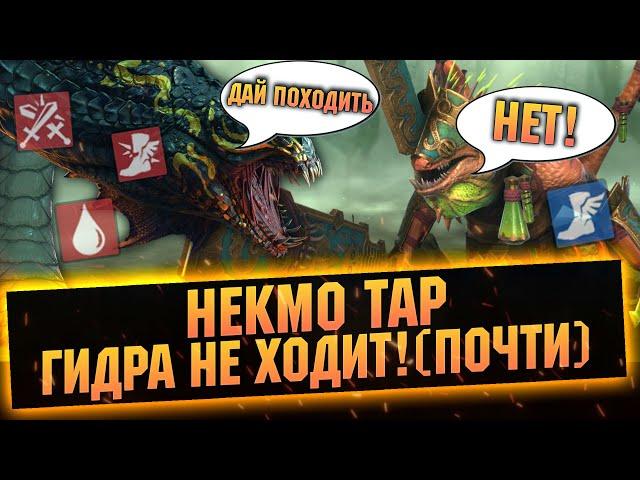 От НУБА ДО ПРО, подробный гайд на НЕКМО ТАРА. Лучший саппорт - RAID Shadow Legends