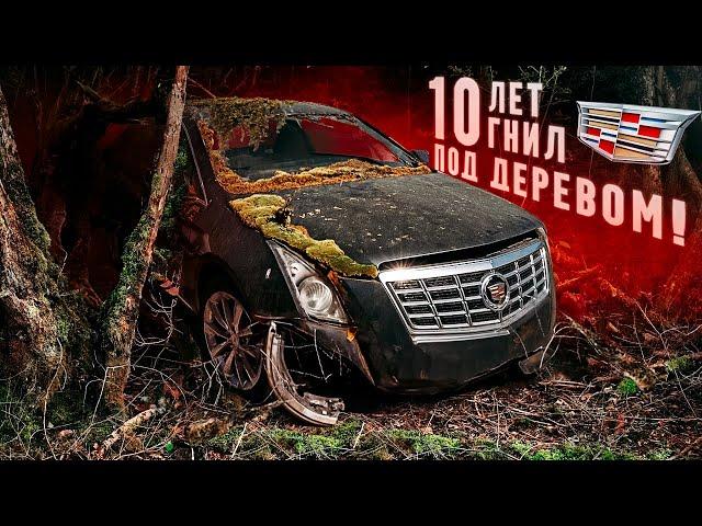 ОЖИВЛЕНИЕ Cadillac. 10 лет гнил под деревом