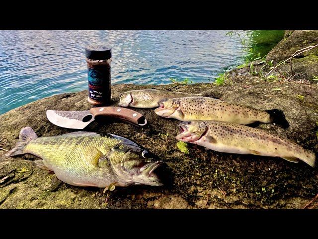 3 Days Cooking Camping Fishing for FAT Mountain Bass and Trout!