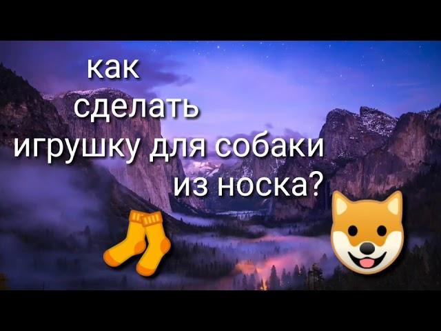 Как сделать игрушку для собаки из носка?