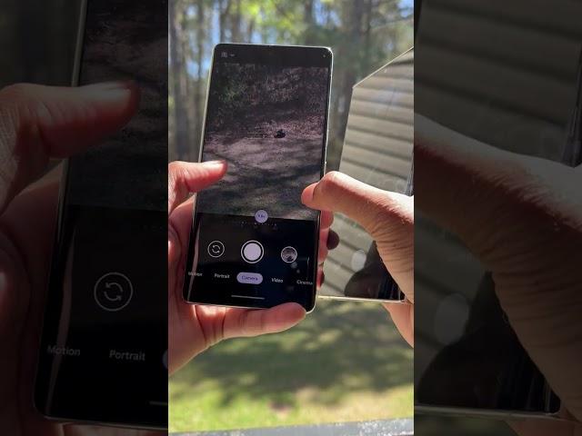 S23 Ultra VS Pixel 7 Pro Design & Camera Zoom Test!