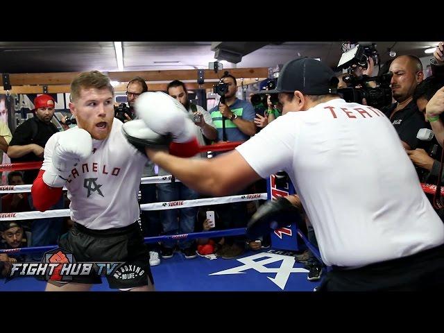 CANELO UNLEASHES 20 PUNCH COMBO ON MITTS! FULL MITT WORKOUT VIDEO