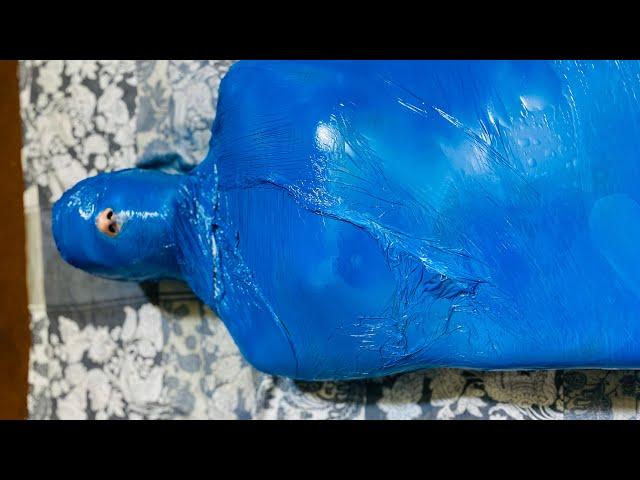 Plastic Polythene Wrap With Blue Paint Challenge | Requested By Viewer | #aqsaadil #challenge #gag