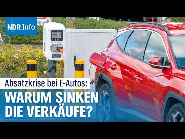 E-Autos in der Krise: Helfen Kaufprämien wirklich? | NDR Info