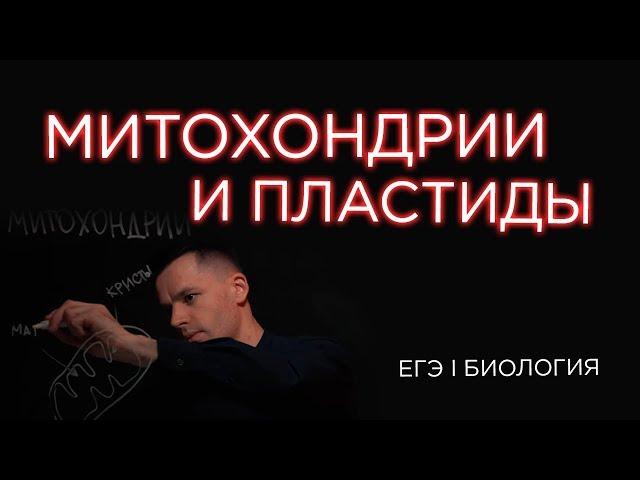 Что такое Митохондрии и Пластиды | ЕГЭ Биология | Даниил Дарвин