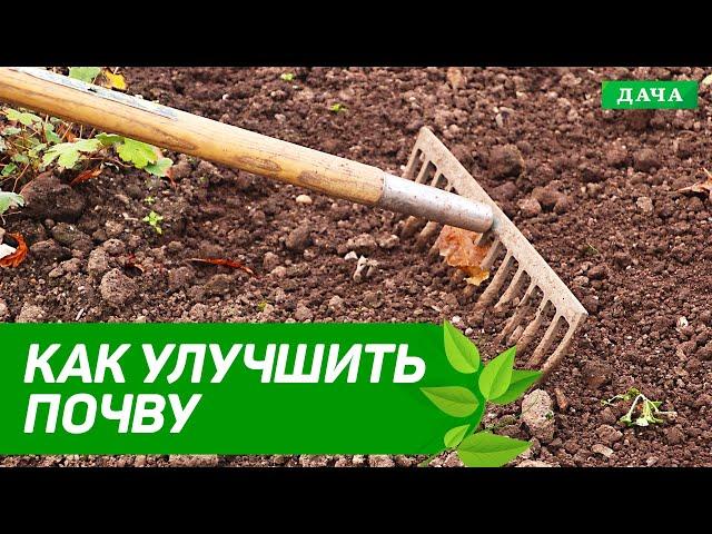 ЭКО-ДАЧА: КАК УЛУЧШИТЬ ПОЧВУ | Как повысить урожайность | Лайфхаки для повышения плодородия