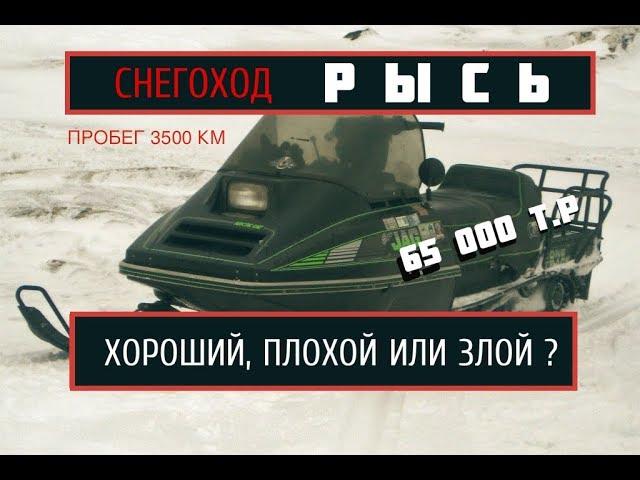 СНЕГОХОД РЫСЬ. Обзор техники с пробегом.