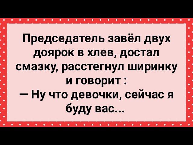 Председатель с Двумя Доярками в Хлеву! Сборник Свежих Анекдотов! Юмор!