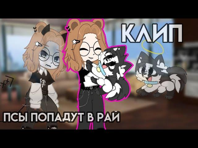 |Клип|~Псы попадут в рай~|Полматери.|Gacha Club|GCMV|Гача клуб|