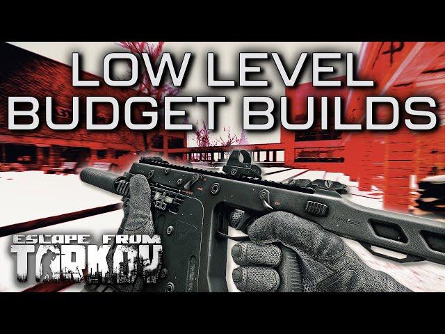 Budget Builds for LOW LEVELS! - Escape From Tarkov Guide