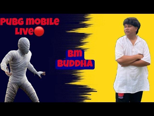 BM BUDDHA Live Stream