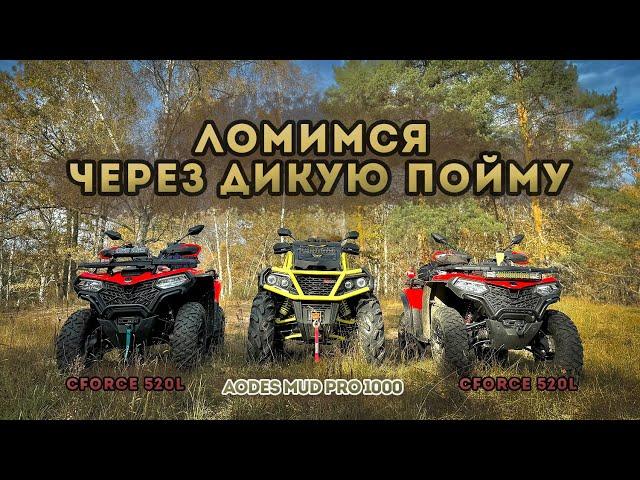 Ломимся на квадроциклах через дикую пойму AODES MUD PRO 1000, CFORCE 520l, KAYO AU200