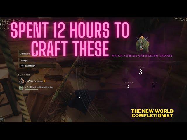 I spent 12 hours to compleate my fishing gear The New World Completionist Part 1