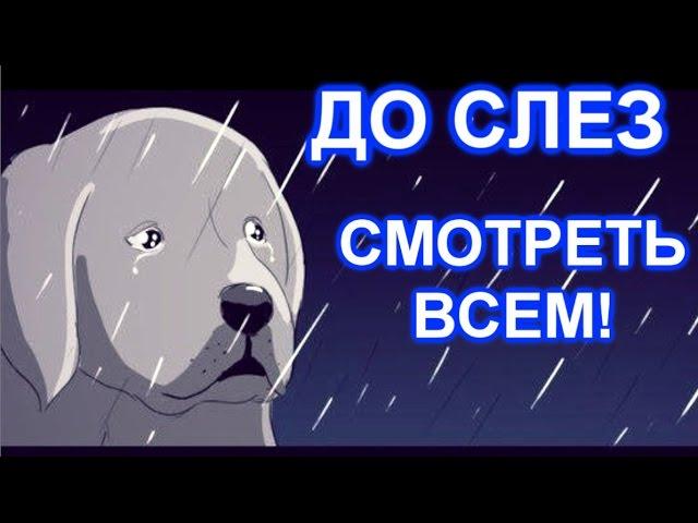 Очень грустная история! Смотреть всем! До слез...