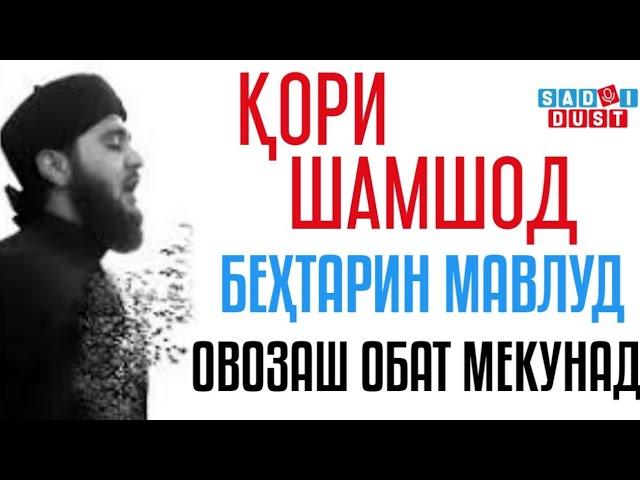  Кори Шамшод - Бехтарин Мавлуд, садояш обат мекунад | قاری شمشاد- مولود صدایش چه زیباست Садои Дуст