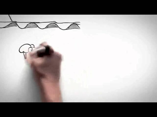 Vídeo explicativo sobre Dolor Crónico