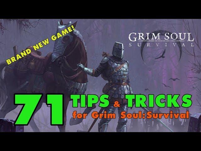 Grim Soul Survival: 71 Tips and Tricks for Grim Soul Dark Fantasy Survival