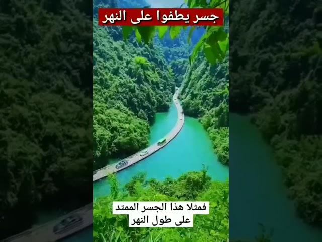 جسر يطفو على النهر #اختراعات #ابداع #فن #الطبيعه