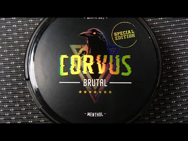 Обзор на СНЮС CORVUS BRUTAL 68 MG