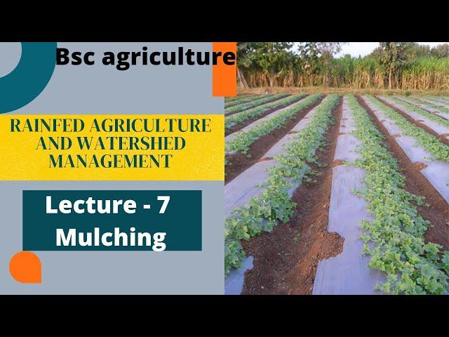 RAINFED AGRICULTURE AND WATERSHED MANAGEMENT | Lecture - 7 Mulching | Go Agro