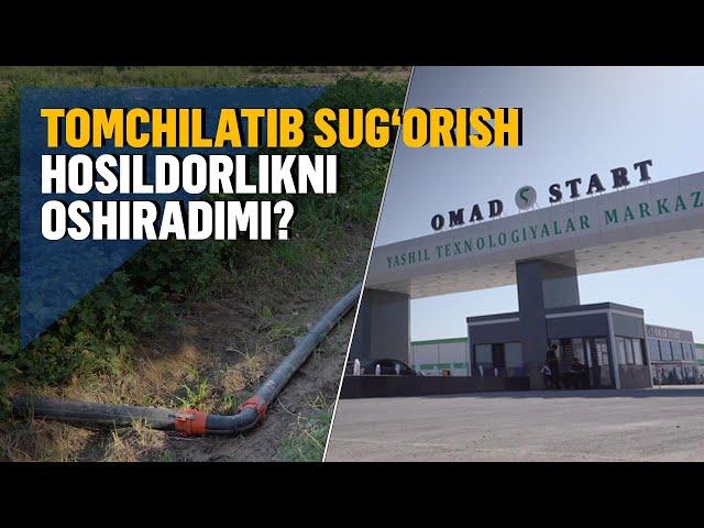 Suvni tejash orqali hosildorlikni oshirayotgan fermerlar bilan suhbat