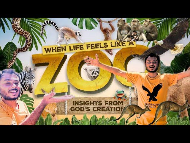 HAMARE ZOO KA TOUR 20k SUBSCRIBERS COMPLETE PROMISE