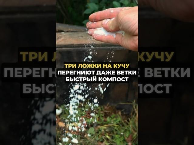 ТРИ ЛОЖКИ НА КУЧУ И ПЕРЕГНИЮТ ДАЖЕ ВЕТКИ #огород #дача #рецепт #садоводство