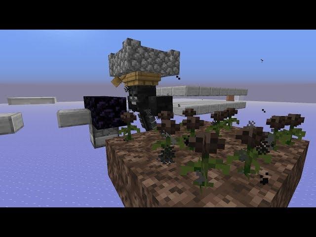 1.14 Skyblock Ep. 28: Wither Rose Farm