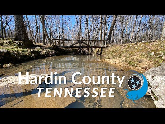 Get Outdoors at Shiloh National Military Park | Tour Hardin County