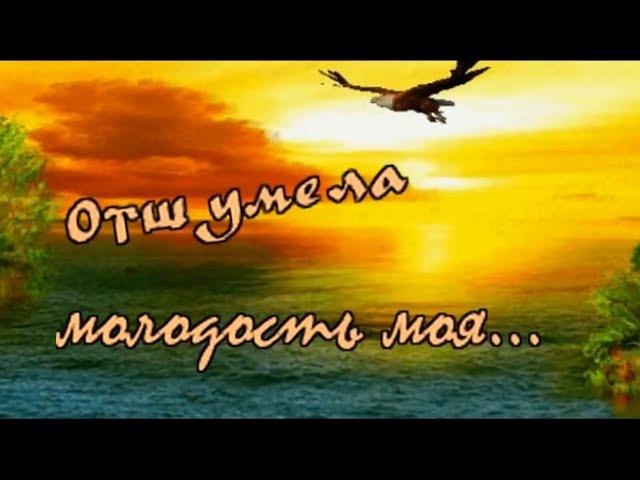 Сергей Орлов гр Светлый свет - Отшумела молодость моя