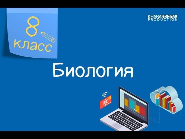 Биология. 8 класс. Компоненты экосистемы. Водные и наземные экосистемы /30.04.2021/