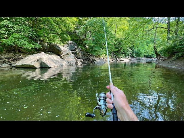 River Fishing for Trout, Bass & Sunfish