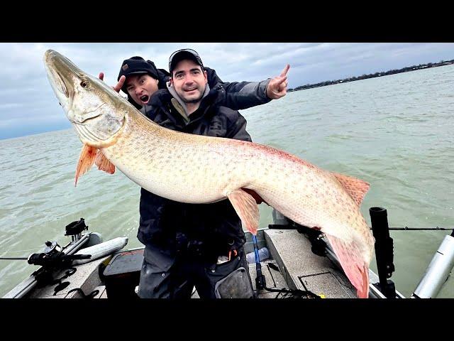 Big Musky Fishing | St Clair BIG TIMERS!