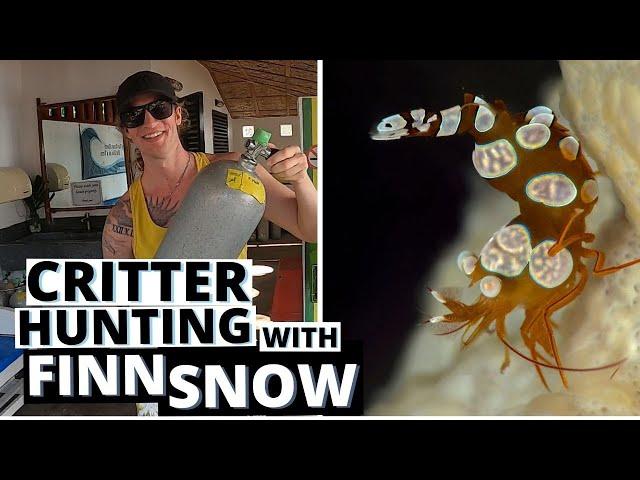 Critter Hunting in Dauin | Philippines Best Scuba Diving