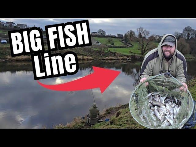 RIVER RIBBLE FLOAT FISHING - DACE AND CHUB MEGA NET