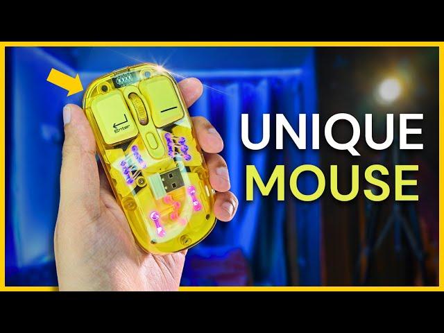 You've Never Seen a Budget Mouse like THIS!
