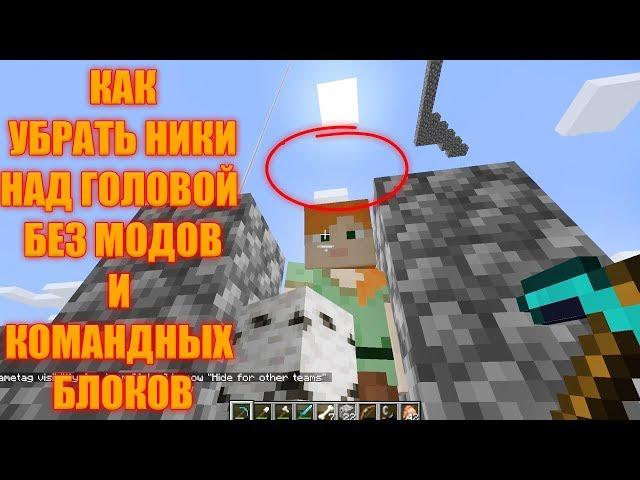 КАК УБРАТЬ НИКИ НАД ГОЛОВОЙ МАЙНКРАФТ PC