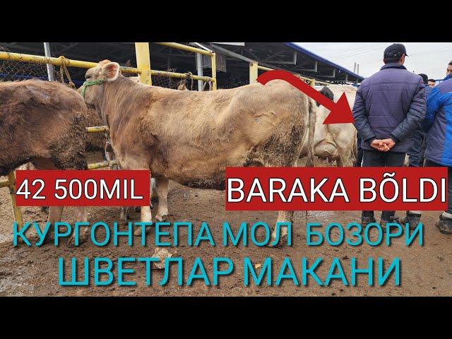 КУРГОНТЕПА ШВЕТЛАР МАКАНИ МОЛ БОЗОРИ ЯНГИ НАРХЛАРИ НАРХЛАР ОШИБ КЕТЙАПТИ КУНДАН КУН ДУСЛАР