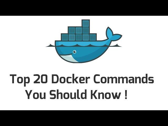 Top 20  Docker Commands For Beginners