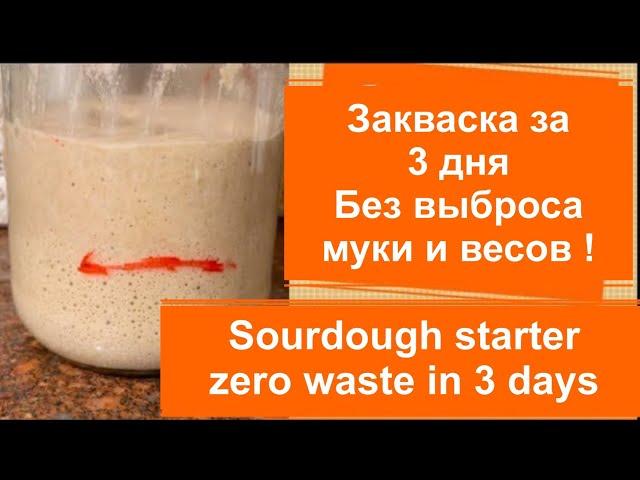 .Zero waste. Sourdough starter from scratch in 3 days