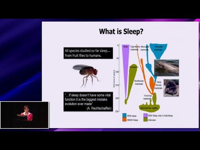 The relationship of sleep to recovery and performance in elite athletes Mary Morrell