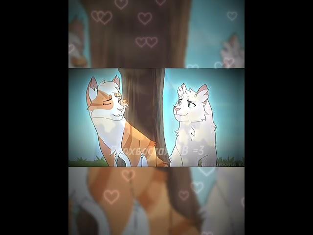 //Белохвост и Яролика// #warriorcats #кв #реки #хочуврек #подпишись #котывоители  #активпж