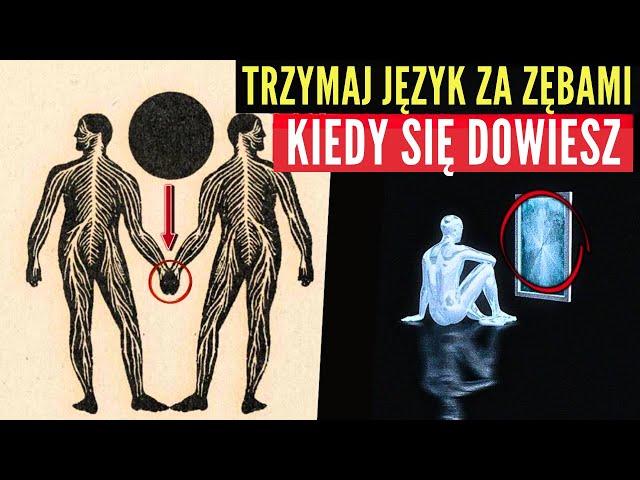 Zanim Zostanie Usunięte: Obejrzyj Ten Film, O Którym Nie Powinieneś Wiedzieć!