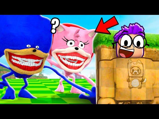 SHIN SONIC HIDE AND SEEK CHALLENGE In ROBLOX!? (EXTREME HIDE & SEEK GAME!)