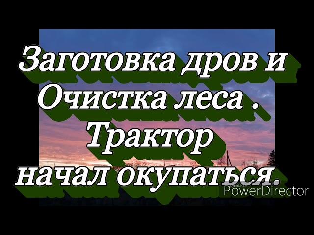 Заготовка дров и очистка леса.