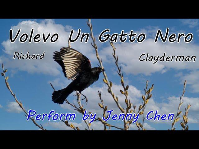 Volevo Un Gatto Nero / Richard Clayderman Tutorial, 教學版,大琴螢幕 /李查克萊德曼 Performed by Jenny Chen